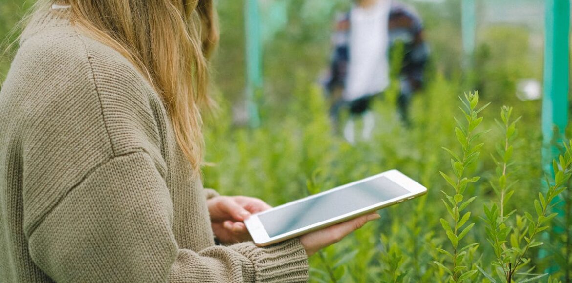 AgriTrust Pilot Success_ How Blockchain is Revolutionizing Food Traceability (1)