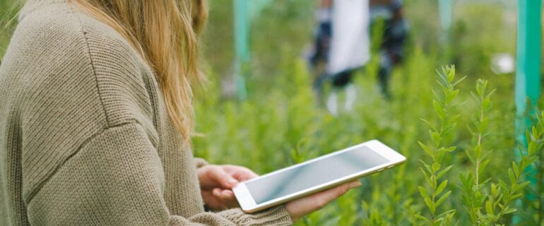 AgriTrust Pilot Success_ How Blockchain is Revolutionizing Food Traceability (1)