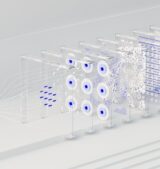 Neuron 2.0 is Here_ How Cognitive Corp's Explainable AI is Revolutionizing Business Strategy